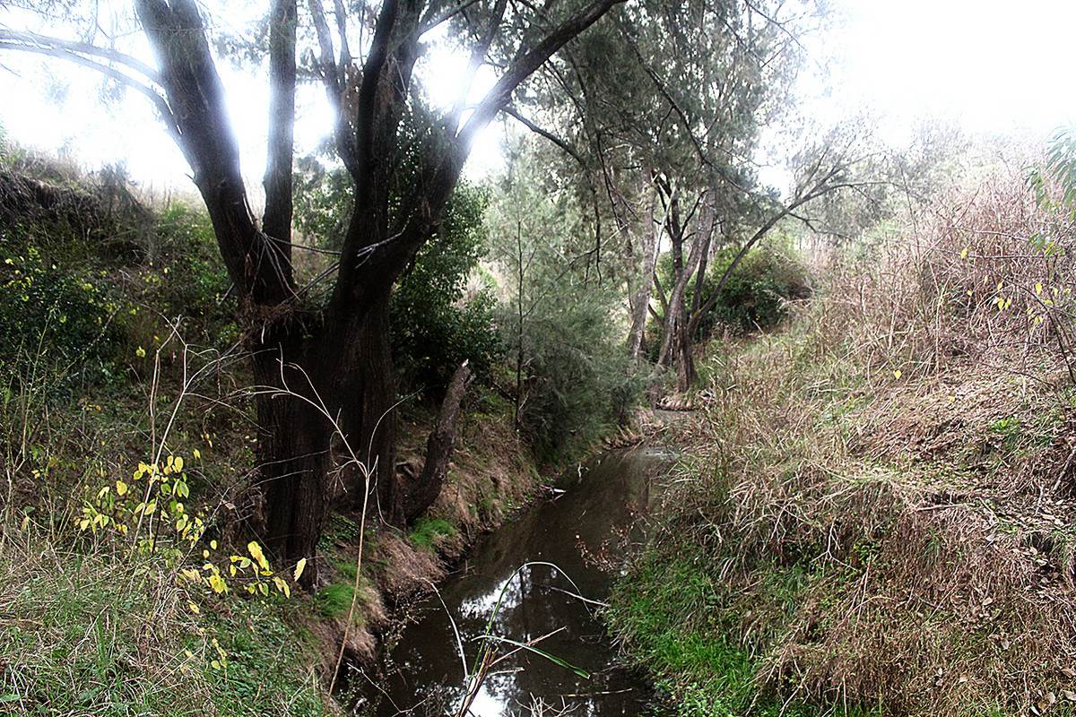 Lot 24,  Hermitage Emuvale Road, Yangan For Sale by Farmbuy.com - image 16