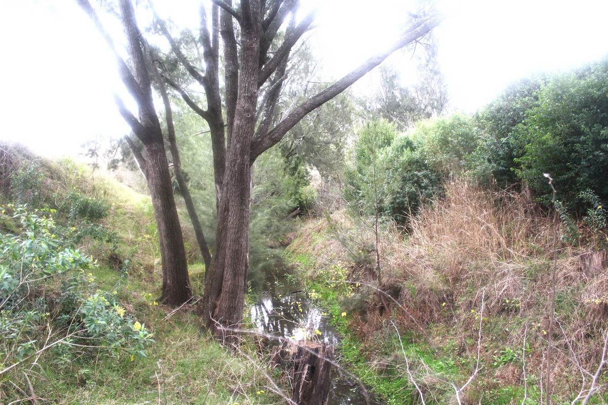 Lot 24,  Hermitage Emuvale Road, Yangan For Sale by Farmbuy.com - image 12