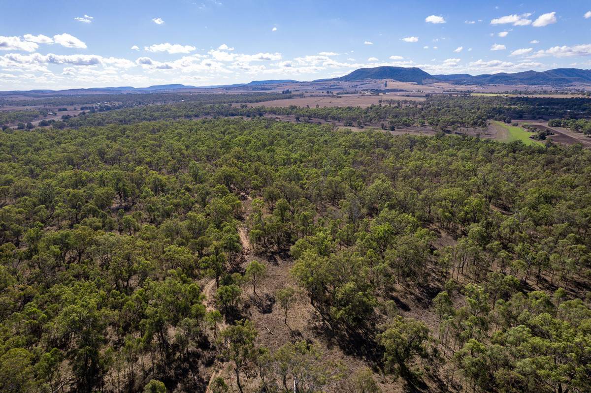 Lot 24,  Hermitage Emuvale Road, Yangan For Sale by Farmbuy.com - image 15