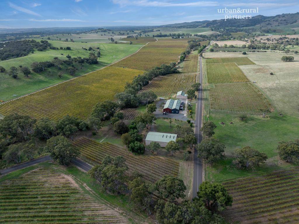 113 Hoffnungsthal Road, Lyndoch For Sale by Farmbuy.com - image 15