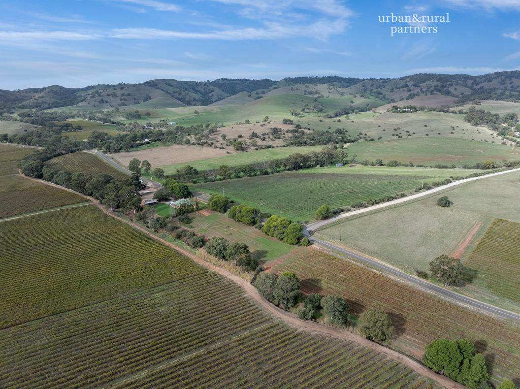 113 Hoffnungsthal Road, Lyndoch For Sale by Farmbuy.com - image 16