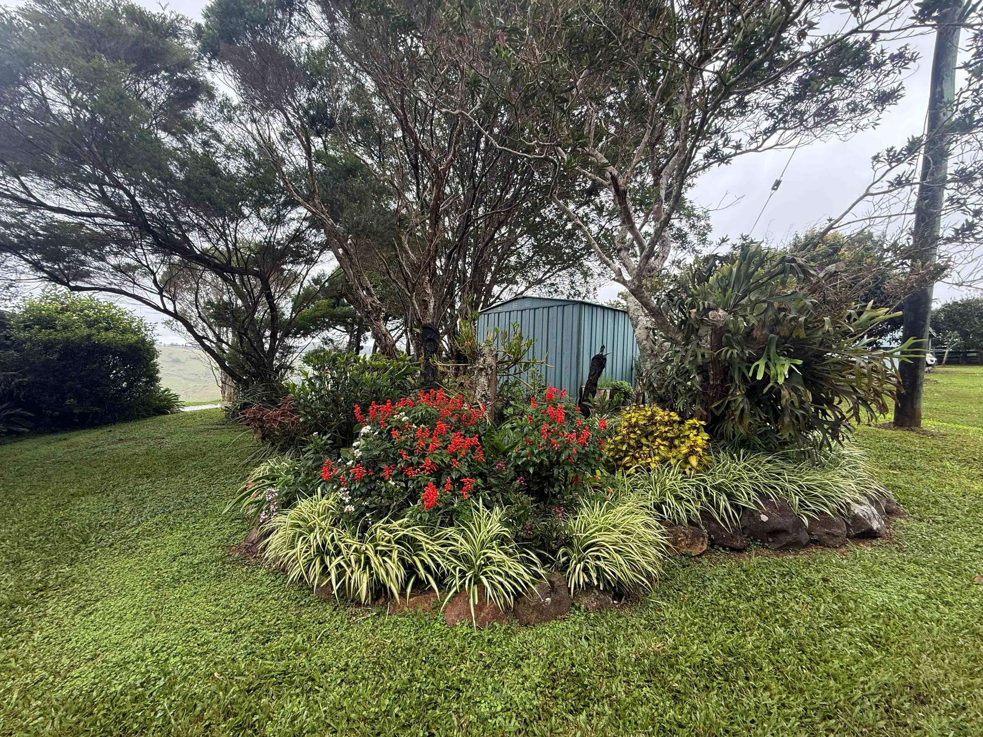 881 Merragallan Road, Jaggan For Sale by Farmbuy.com - image 21