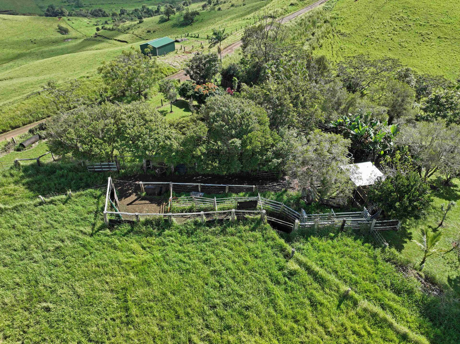 881 Merragallan Road, Jaggan For Sale by Farmbuy.com - image 24