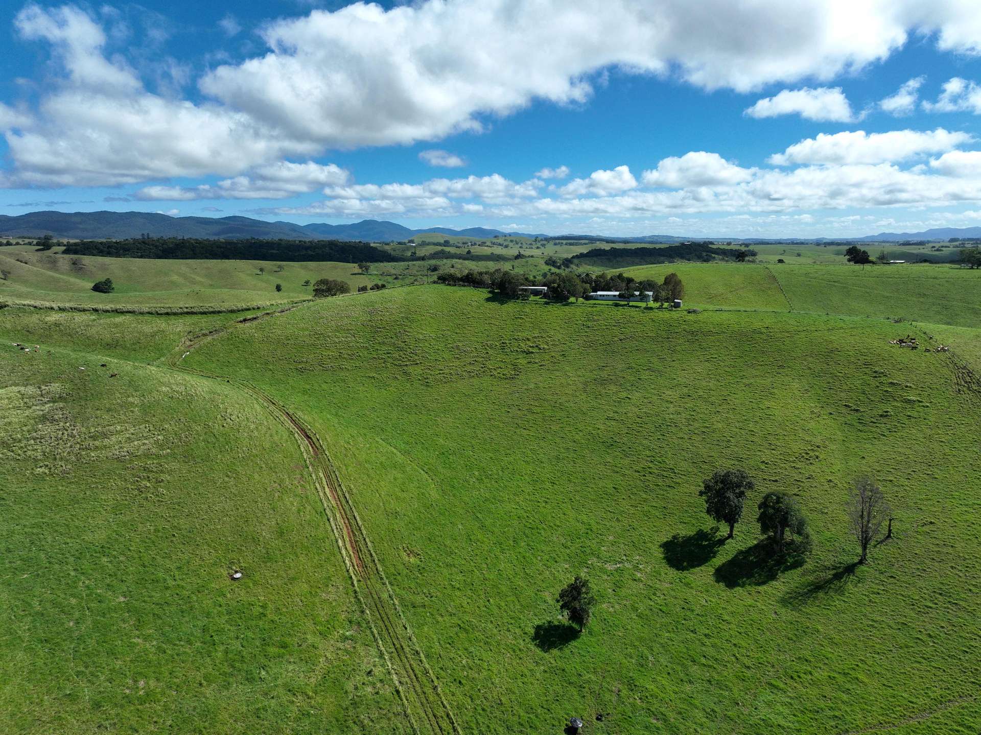 881 Merragallan Road, Jaggan For Sale by Farmbuy.com - image 1