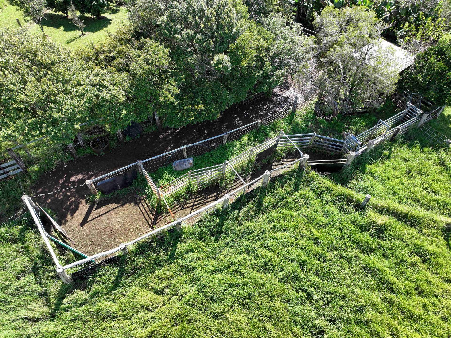 881 Merragallan Road, Jaggan For Sale by Farmbuy.com - image 22