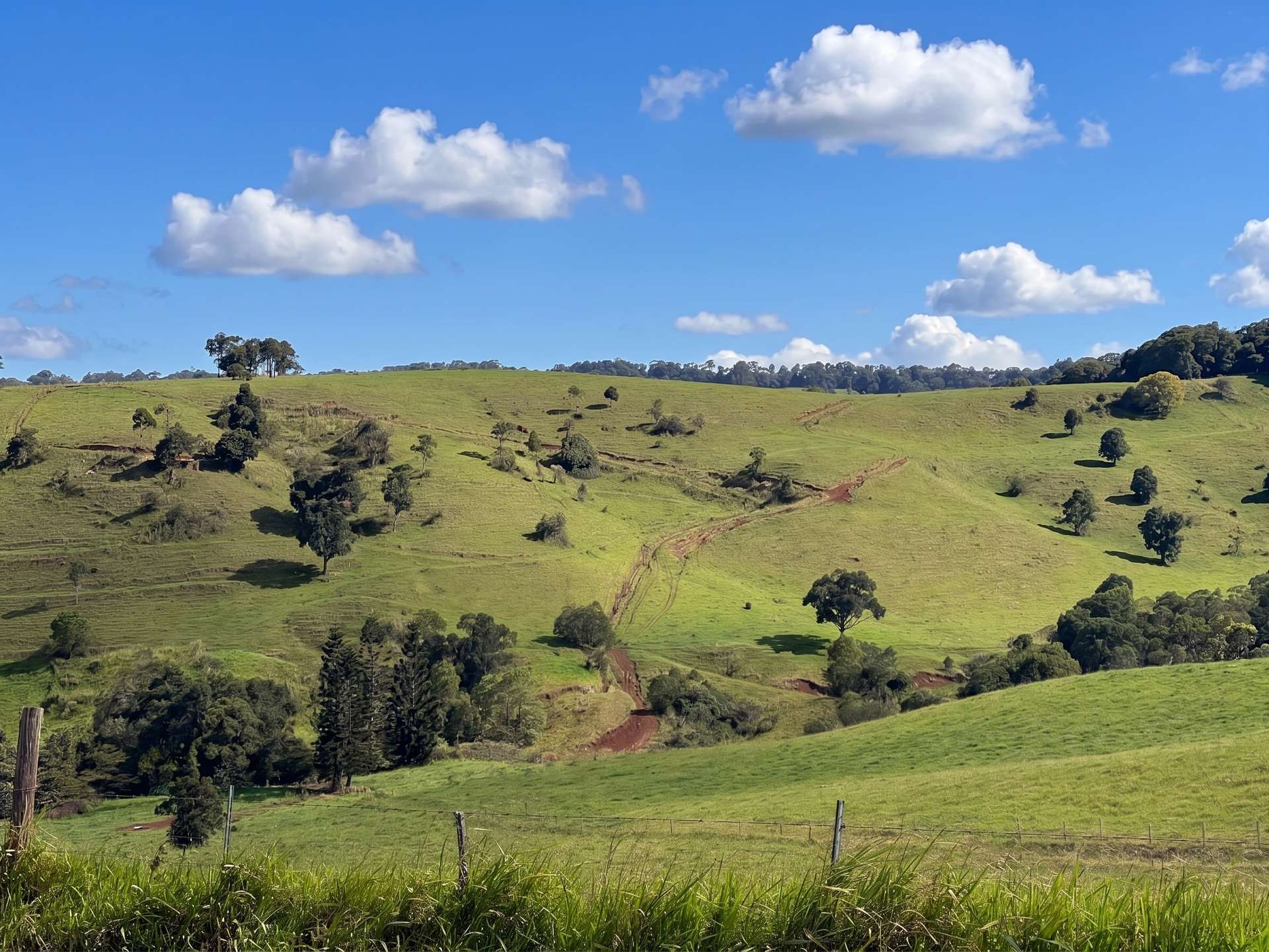 881 Merragallan Road, Jaggan For Sale by Farmbuy.com - image 28