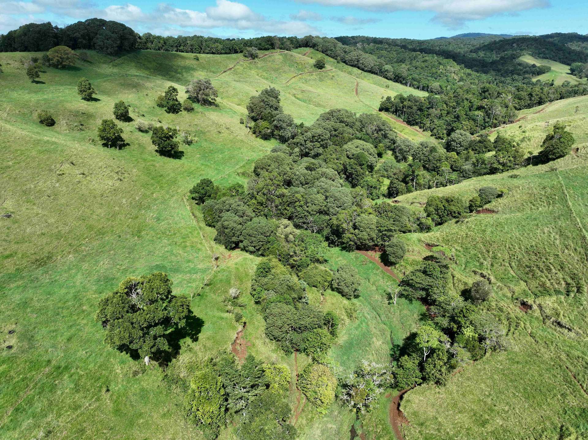 881 Merragallan Road, Jaggan For Sale by Farmbuy.com - image 26