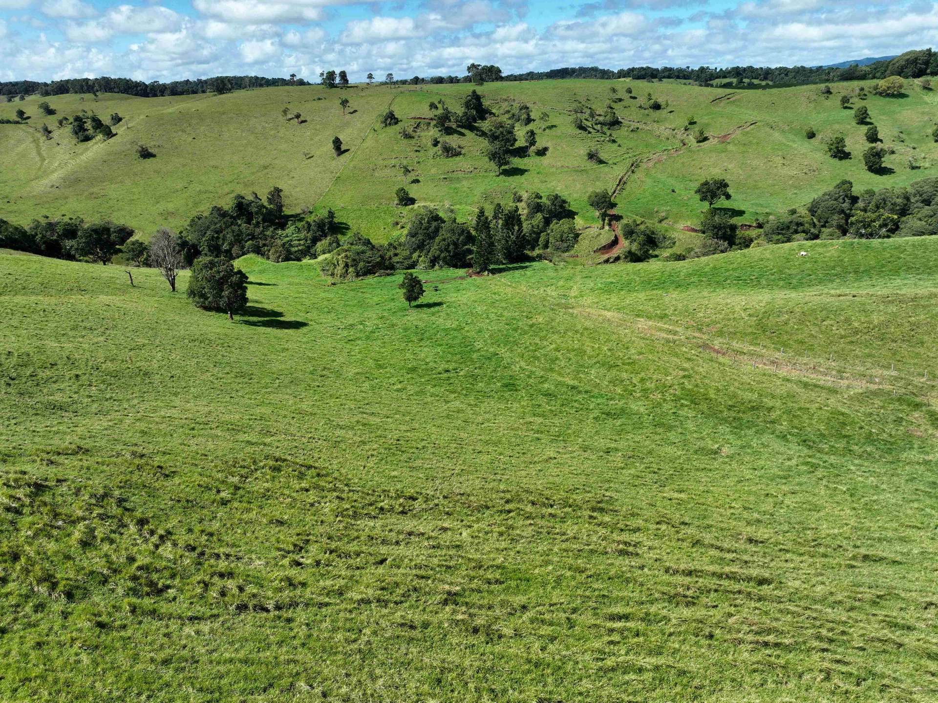 881 Merragallan Road, Jaggan For Sale by Farmbuy.com - image 27