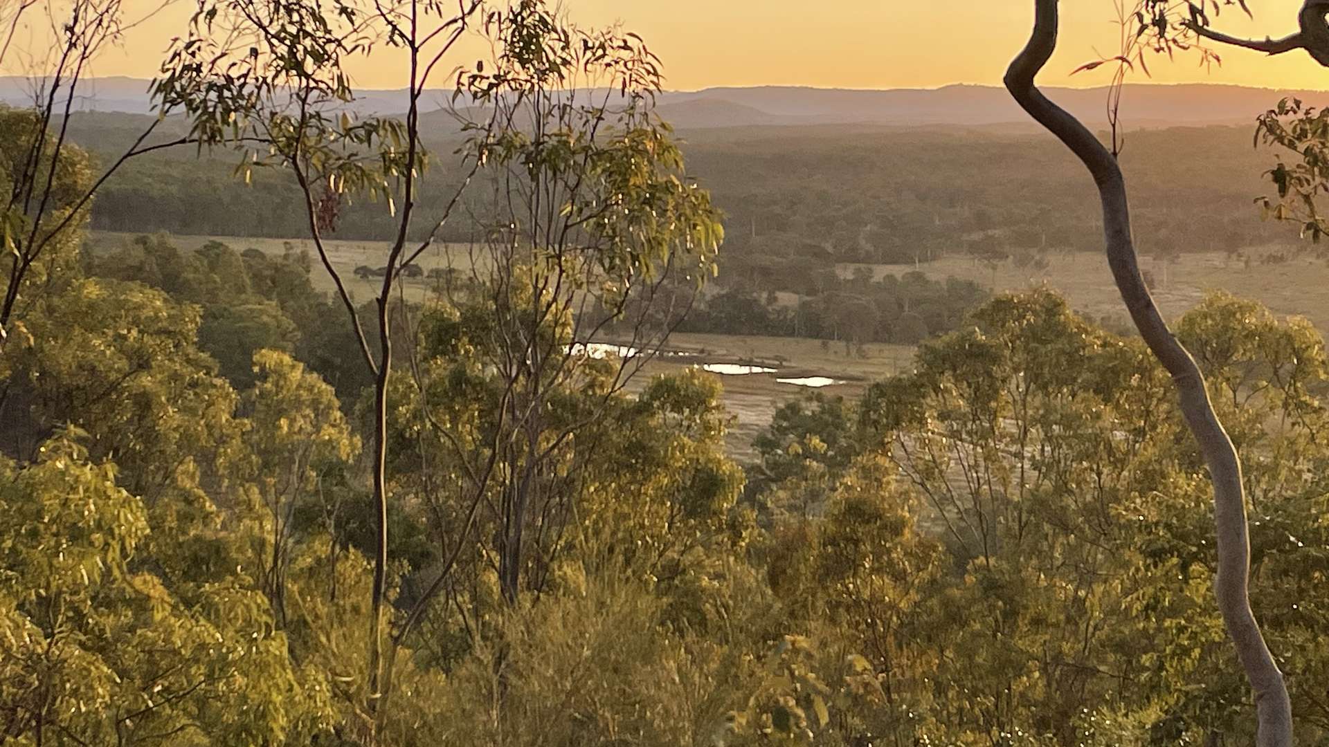 187 Pine Crescent, Esk For Sale by Farmbuy.com - image 7