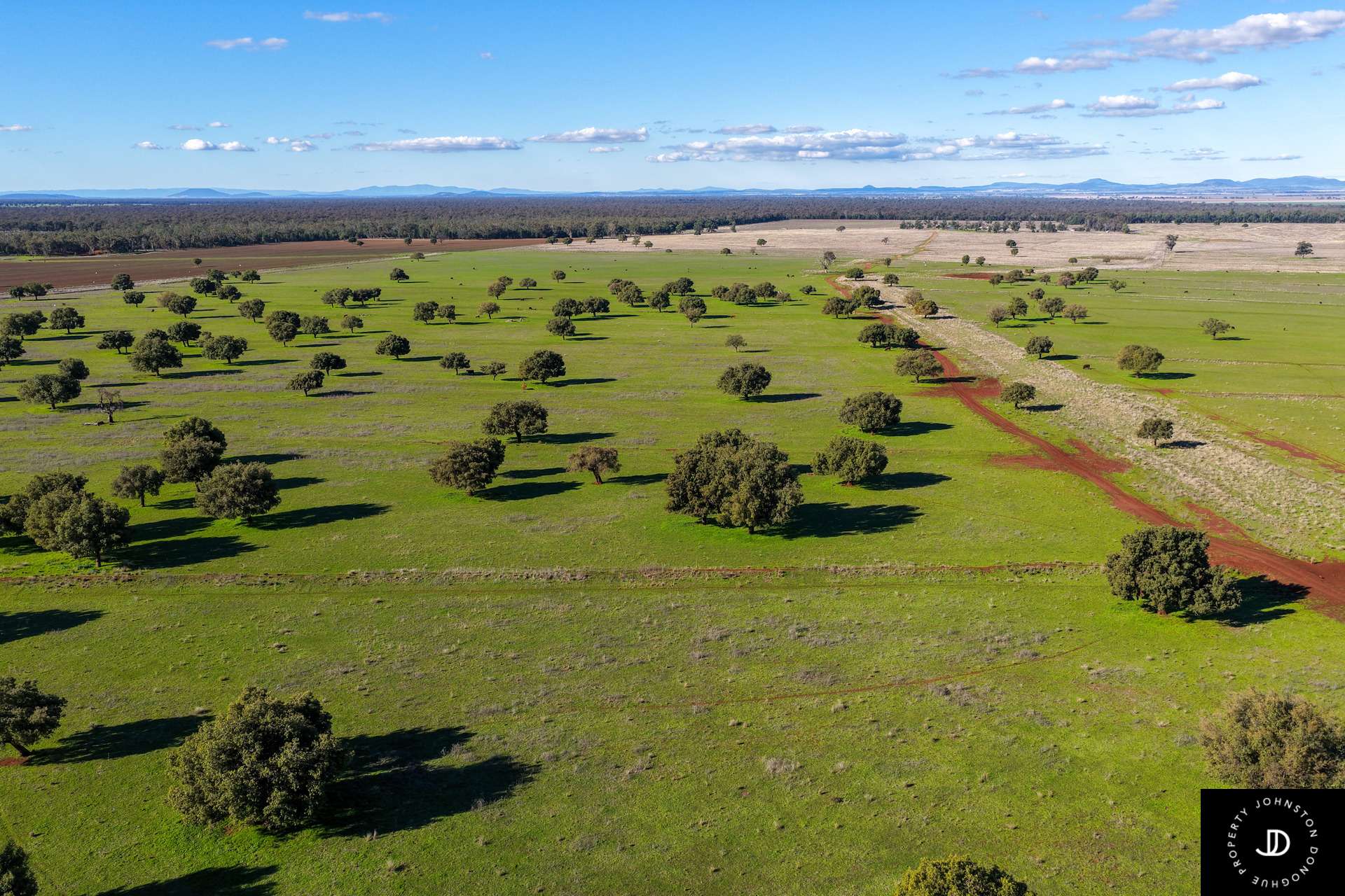 409 Bakers Lane, Gunnedah For Sale by Farmbuy.com - image 3