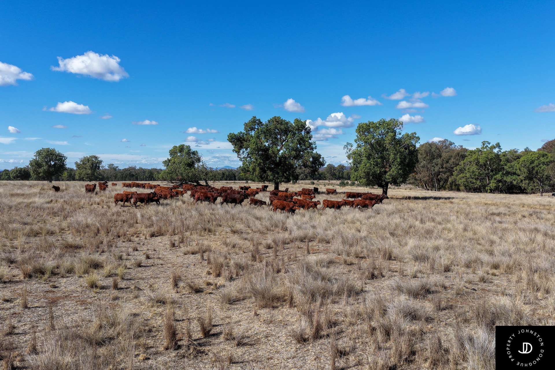 409 Bakers Lane, Gunnedah For Sale by Farmbuy.com - image 12
