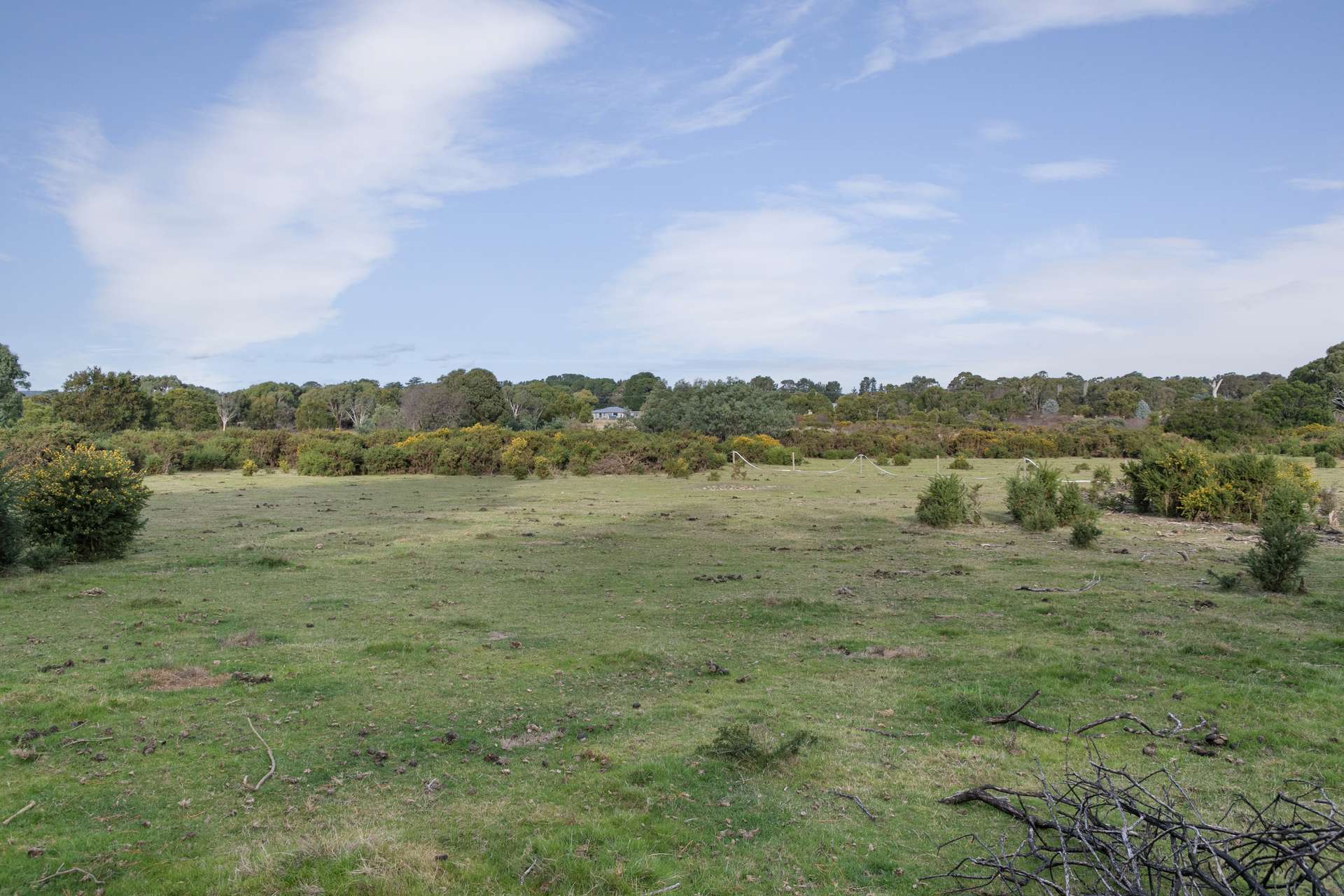 41 Moonies Dam Road, Scarsdale For Sale by Farmbuy.com - image 5