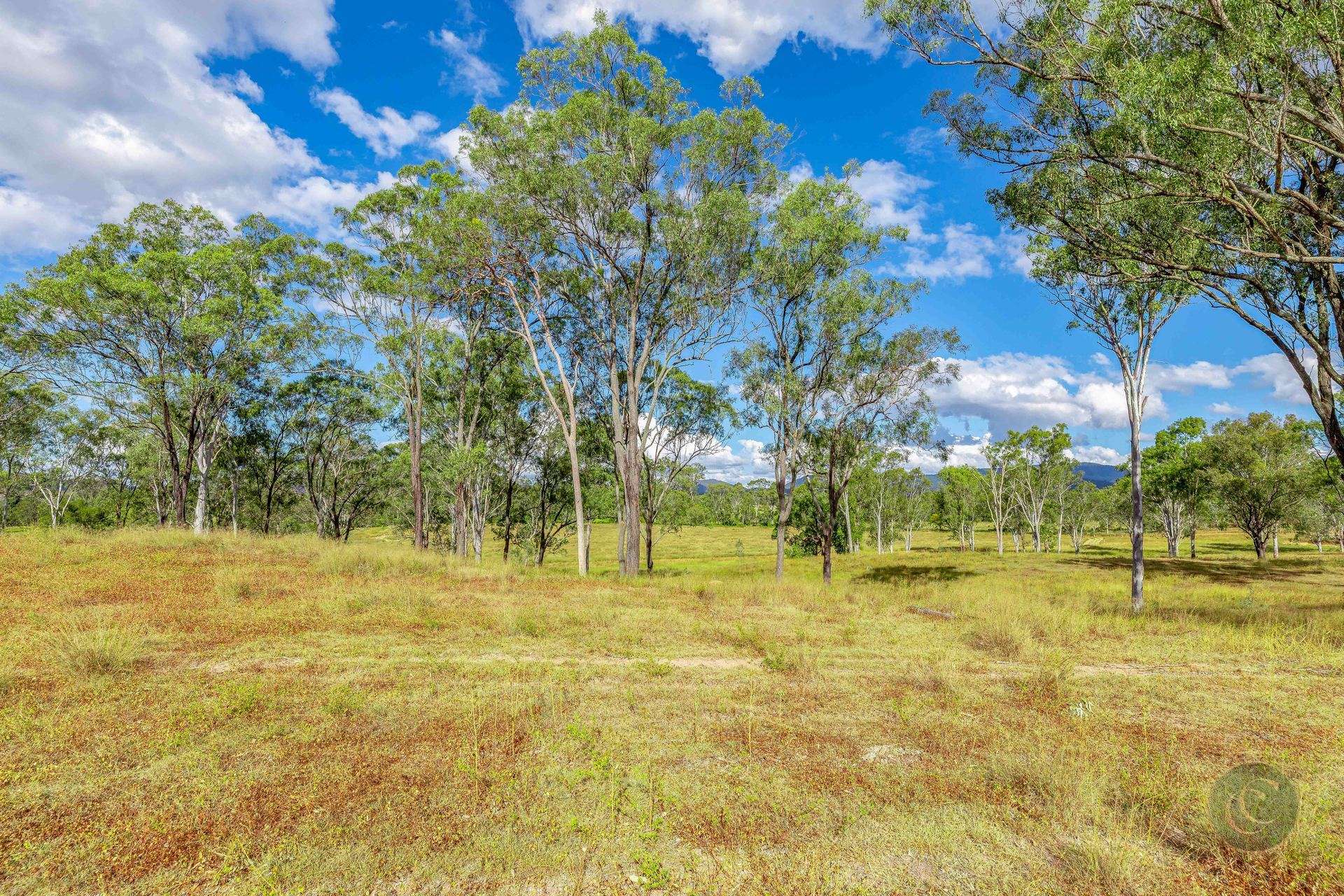 357 Bular Road, Kilkivan For Sale by Farmbuy.com - image 9
