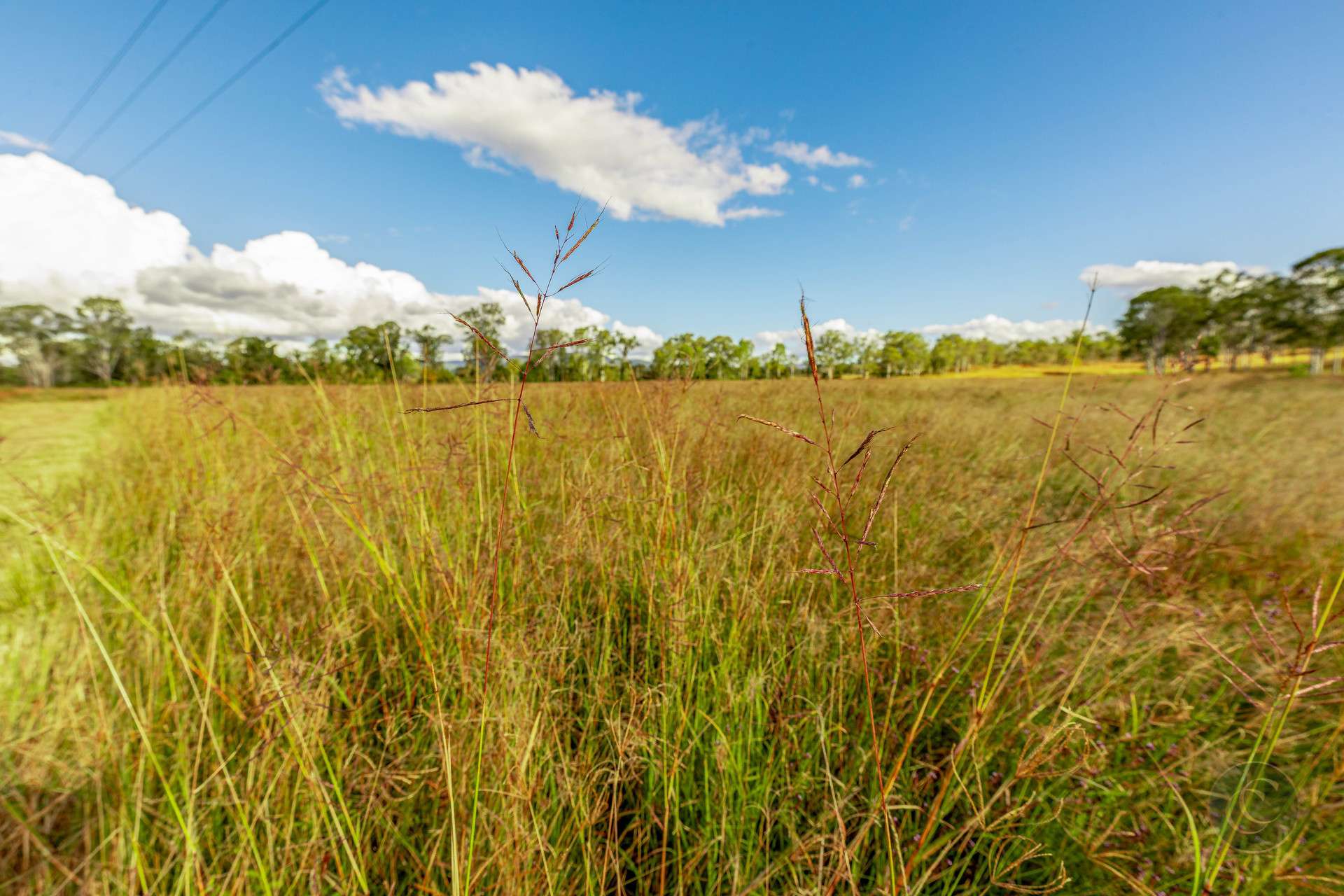 357 Bular Road, Kilkivan For Sale by Farmbuy.com - image 12