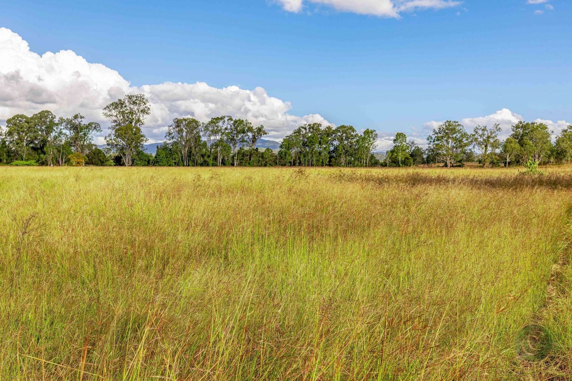 357 Bular Road, Kilkivan For Sale by Farmbuy.com - image 14