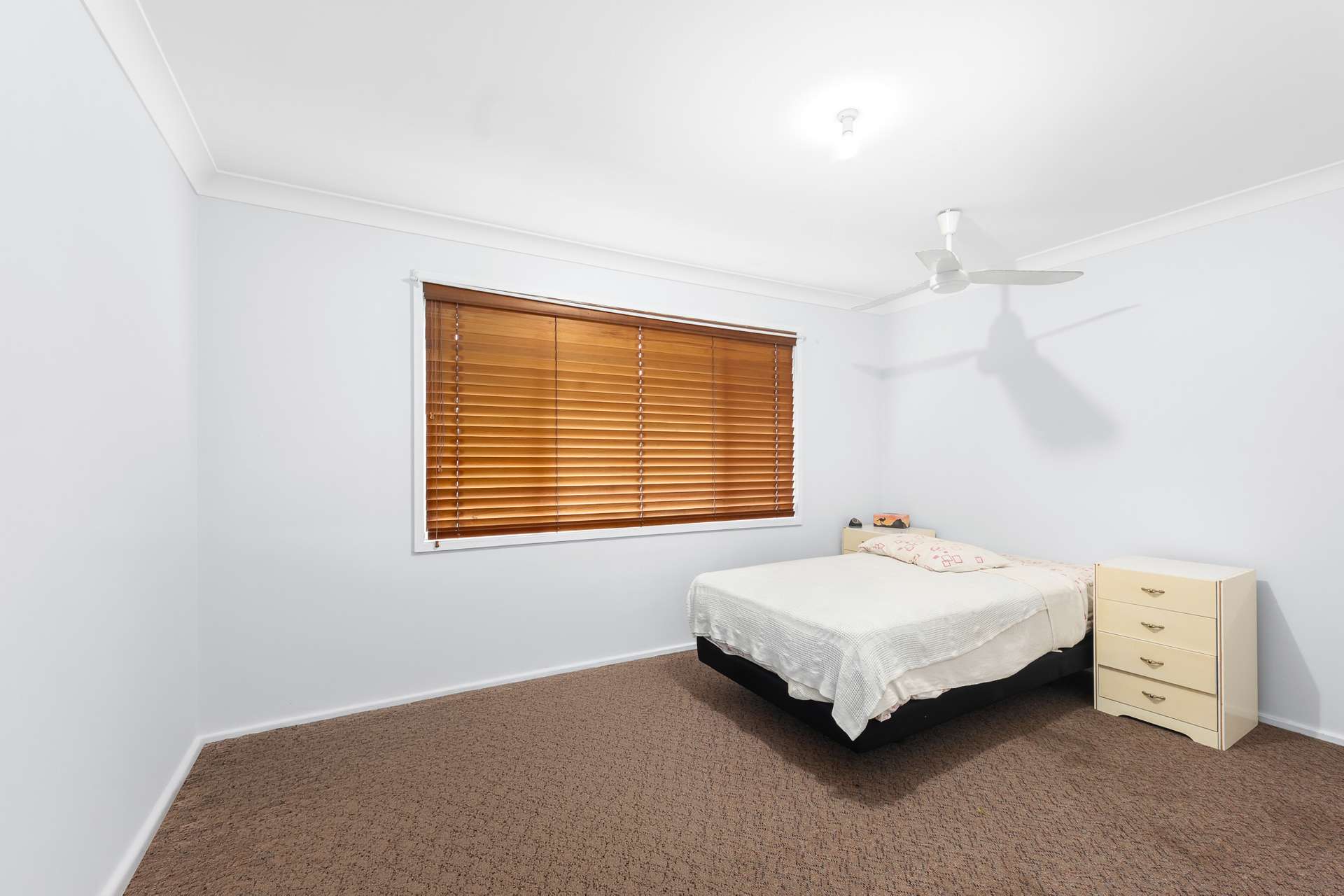 195 - 199 Lemon Tree Passage Road, Salt Ash Auction by Farmbuy.com - image 11