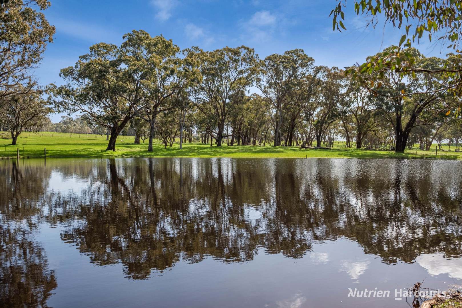2620 Northern Highway, Kilmore For Sale by Farmbuy.com - image 13