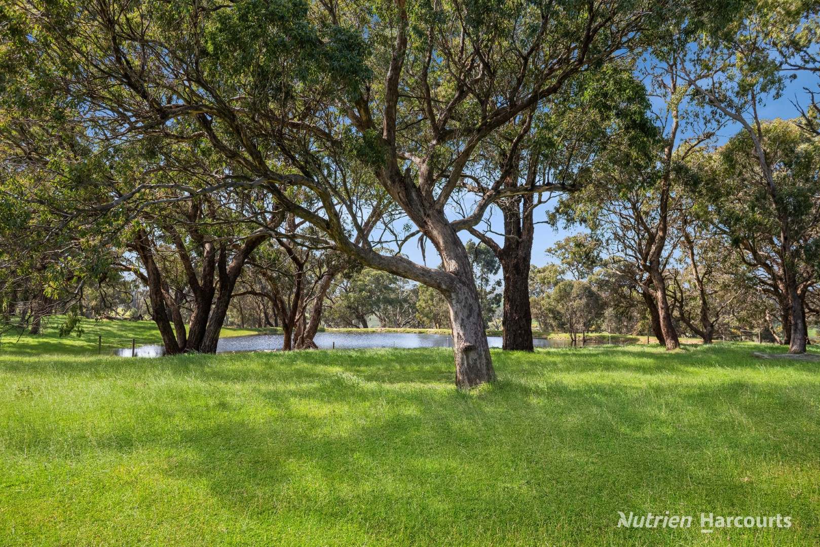 2620 Northern Highway, Kilmore For Sale by Farmbuy.com - image 12