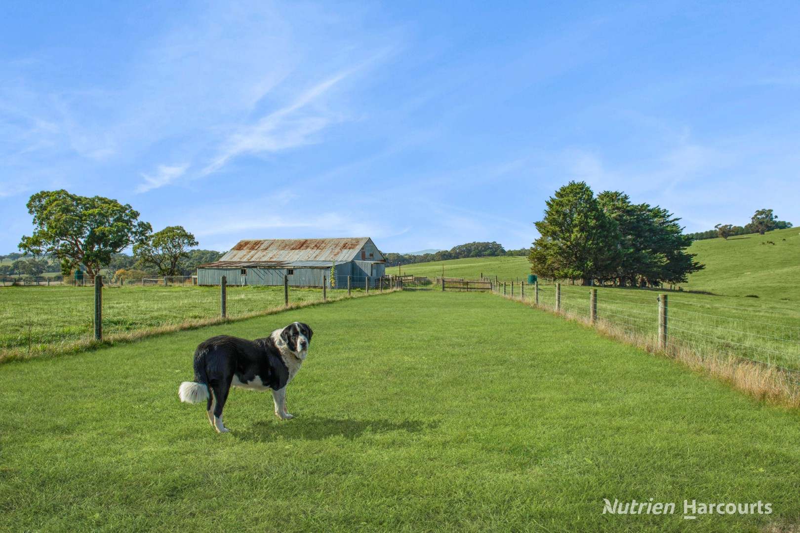 2620 Northern Highway, Kilmore For Sale by Farmbuy.com - image 7