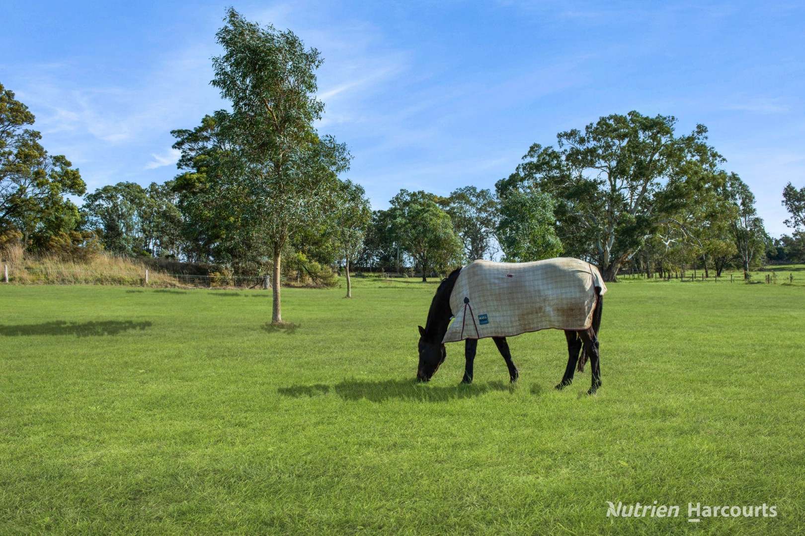 2620 Northern Highway, Kilmore For Sale by Farmbuy.com - image 11