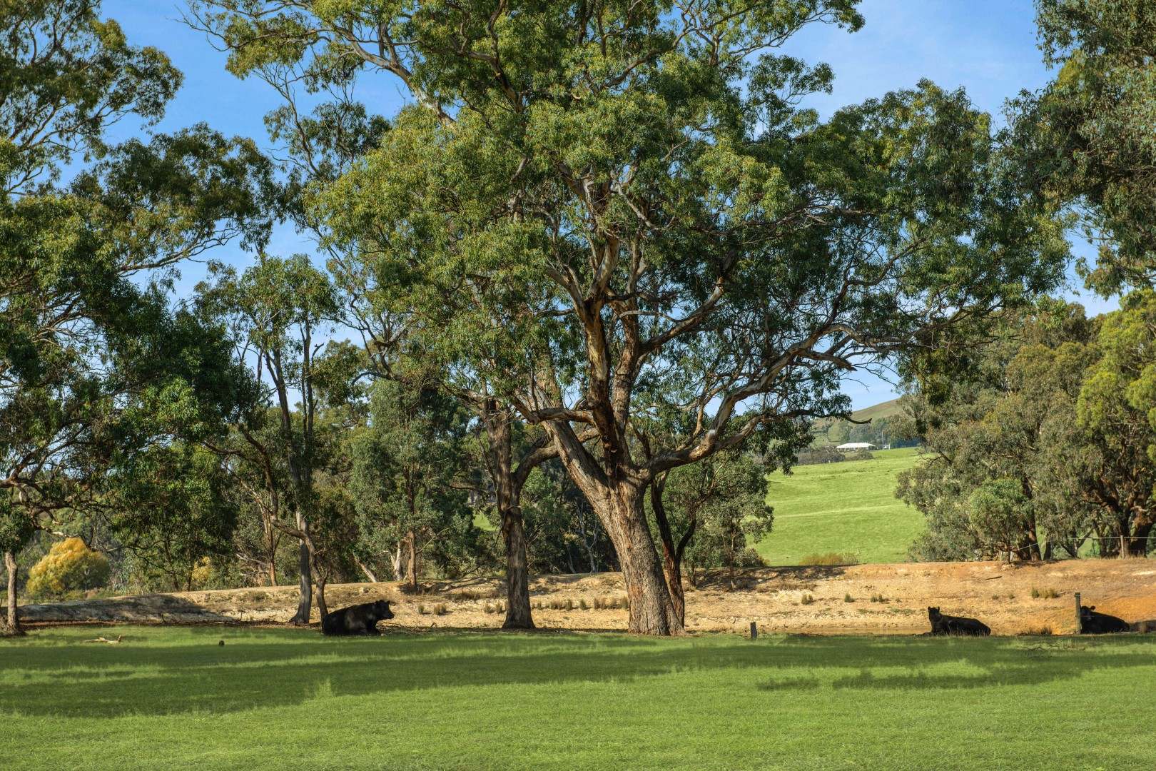 2620 Northern Highway, Kilmore For Sale by Farmbuy.com - image 15
