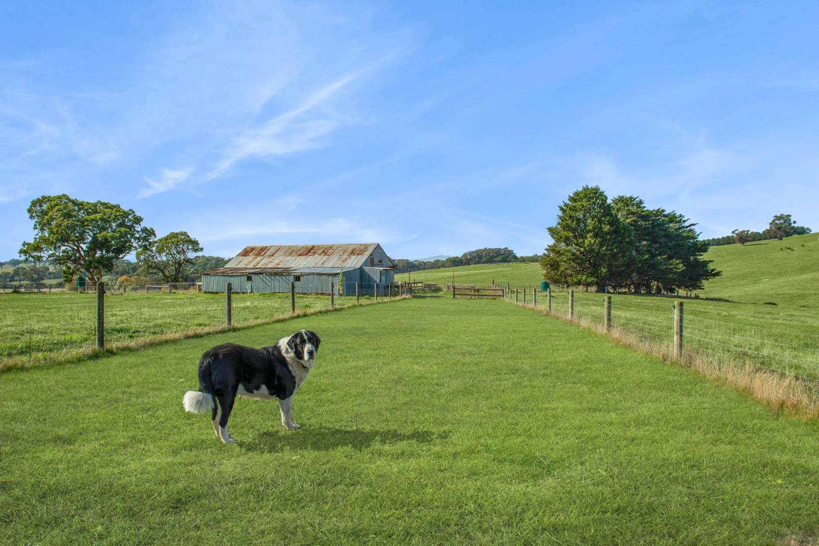 2620 Northern Highway, Kilmore For Sale by Farmbuy.com - image 12
