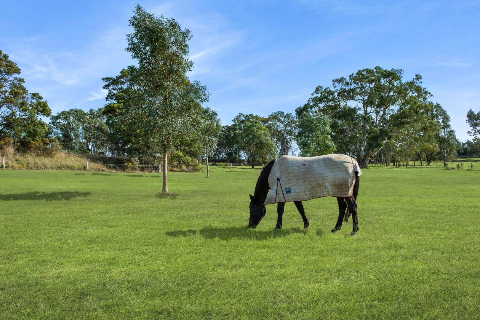 2620 Northern Highway, Kilmore For Sale by Farmbuy.com - image 13