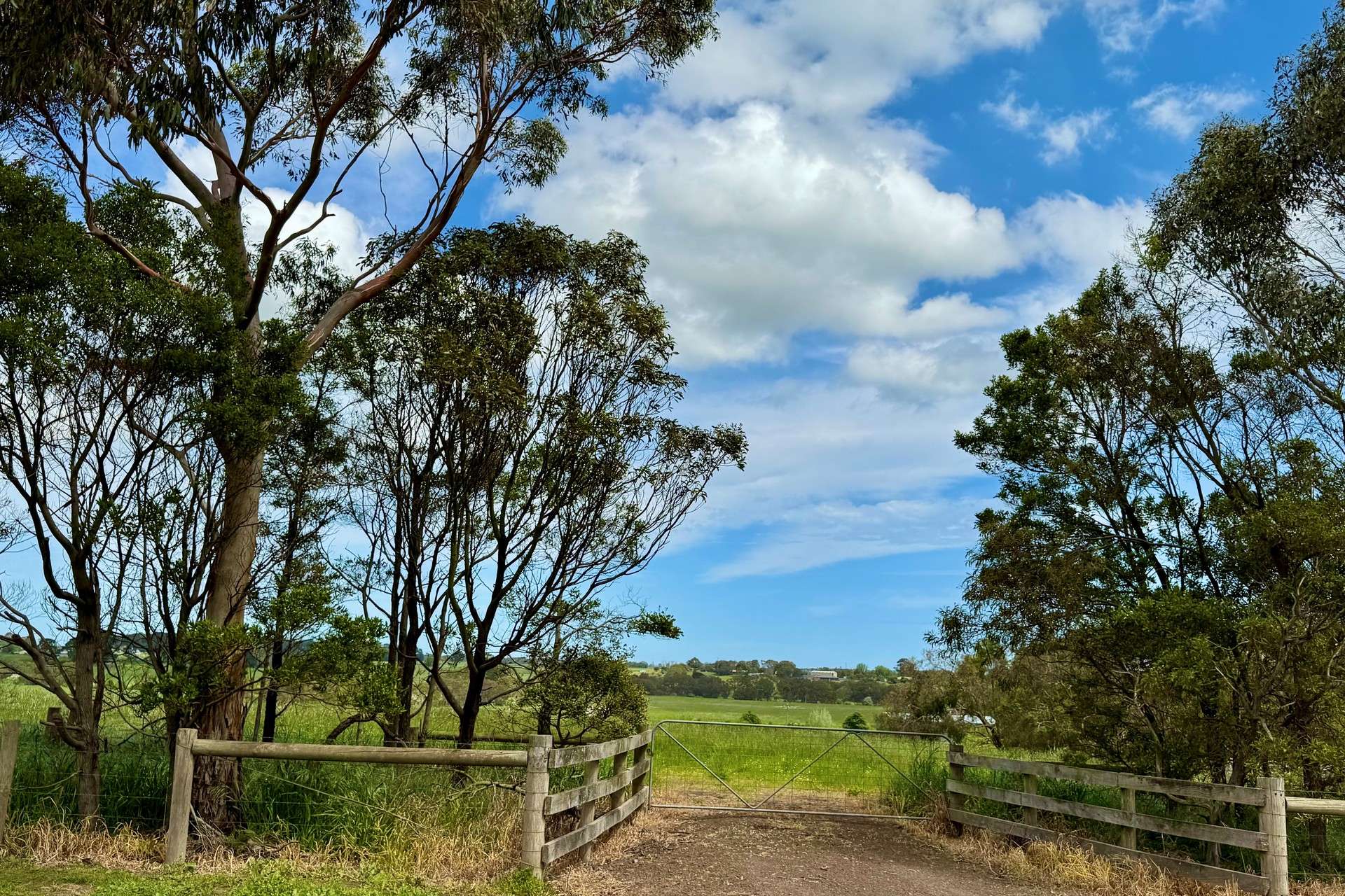 121 Old Township Road, Panmure For Sale by Farmbuy.com - image 6