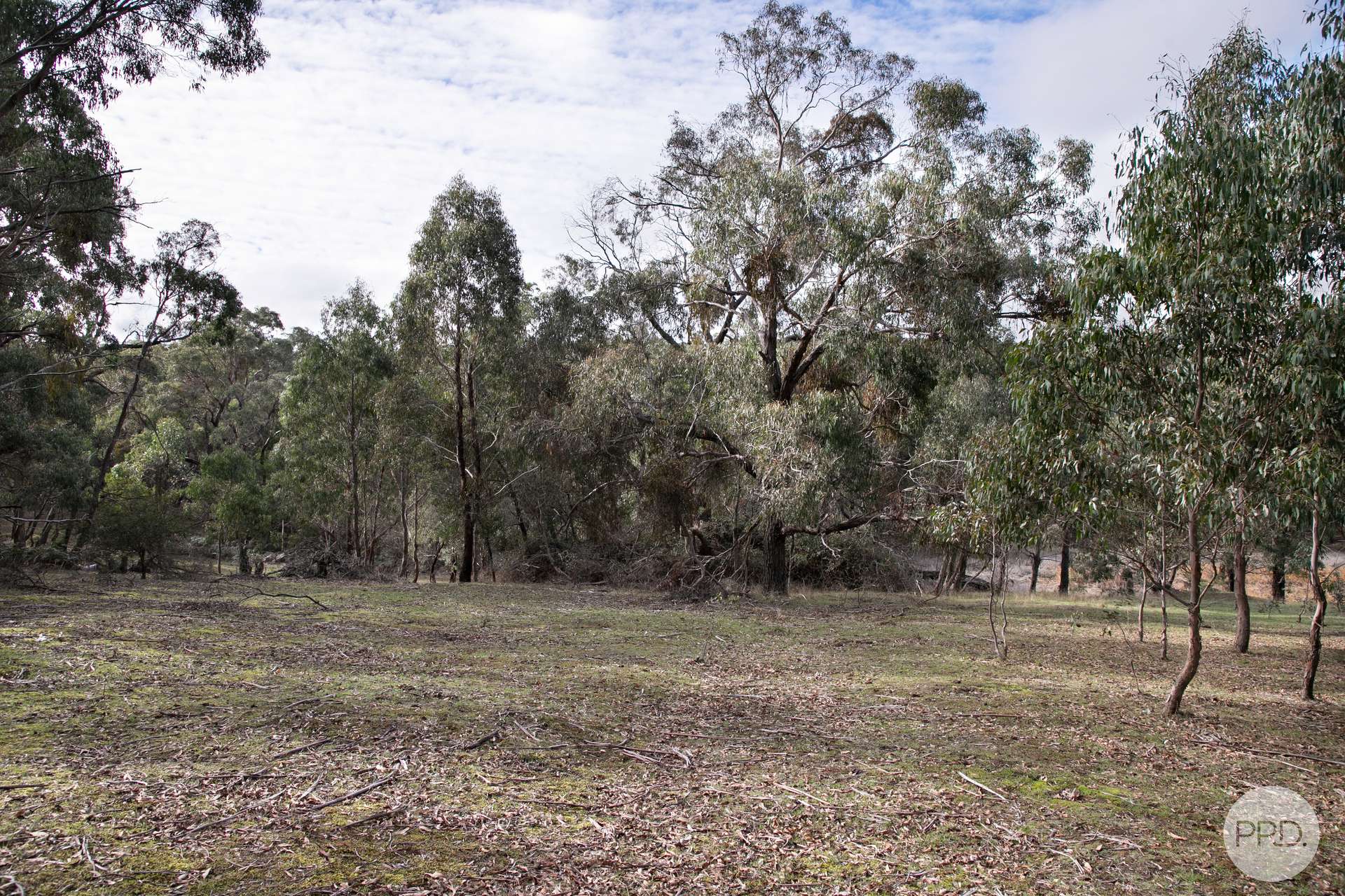 Crown Allotment A14 Glenelg Highway, Linton For Sale by Farmbuy.com - image 4
