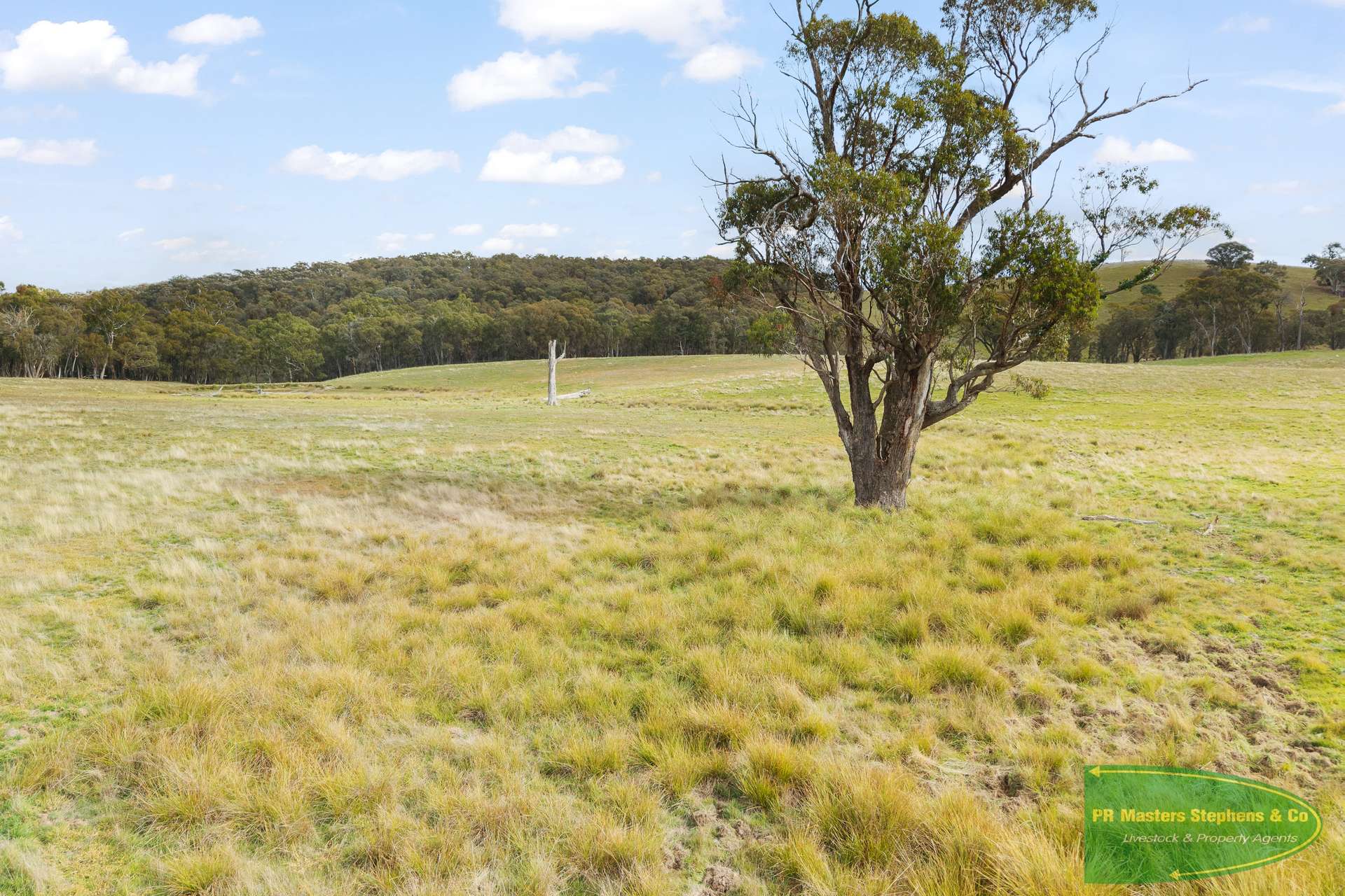 4616 Trunkey Road, Arkell For Sale by Farmbuy.com - image 10