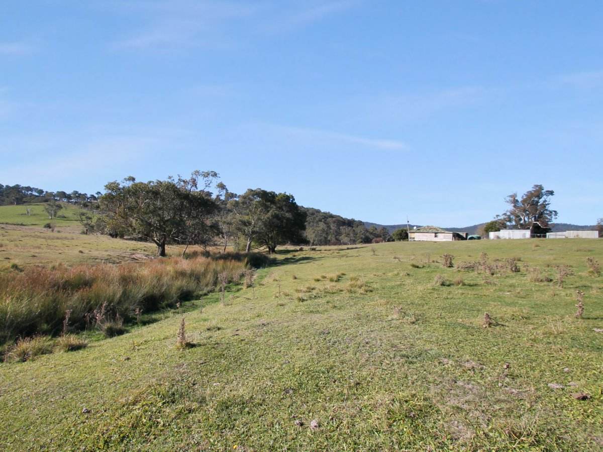 1291 Brookville Road, Brookville For Sale by Farmbuy.com - image 13