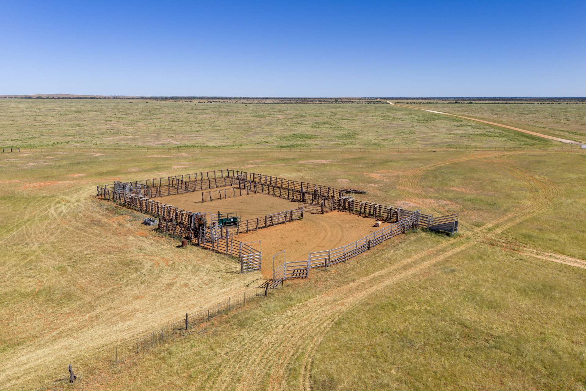 Packsaddle Auction by Farmbuy.com - image 5