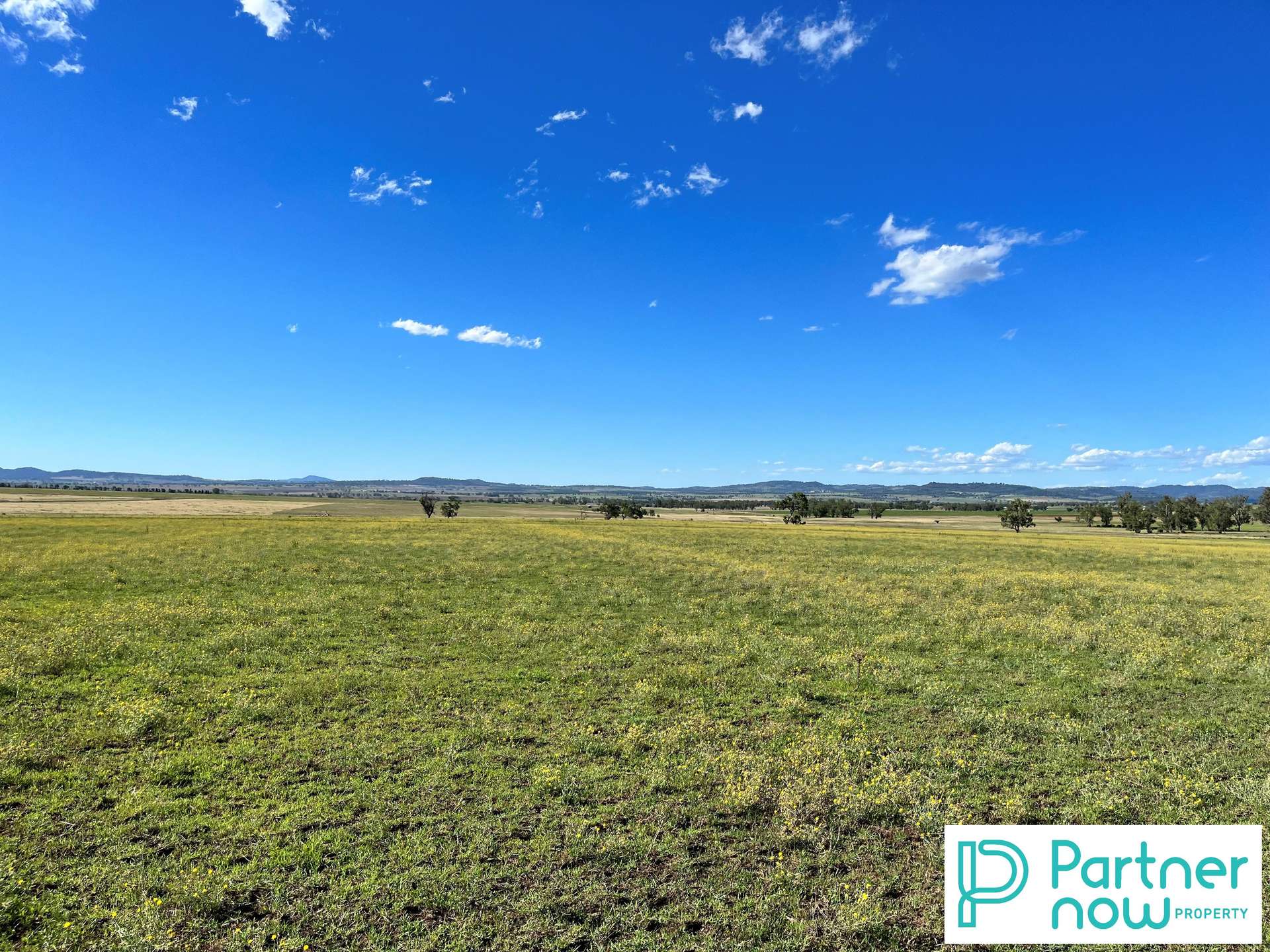 205 Gidley-Appleby Road, Tamworth For Sale by Farmbuy.com - image 8