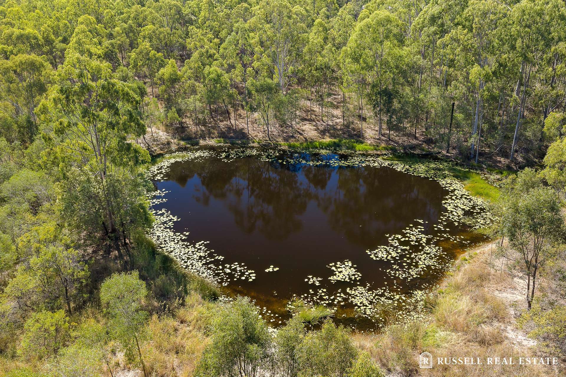 83 Bukkan Road, Glen Eden For Sale by Farmbuy.com - image 17