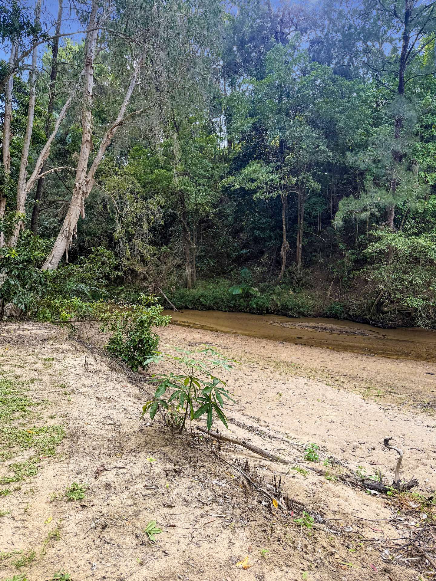 4128 Mackay - Eungella Road, Pinnacle For Sale by Farmbuy.com - image 31