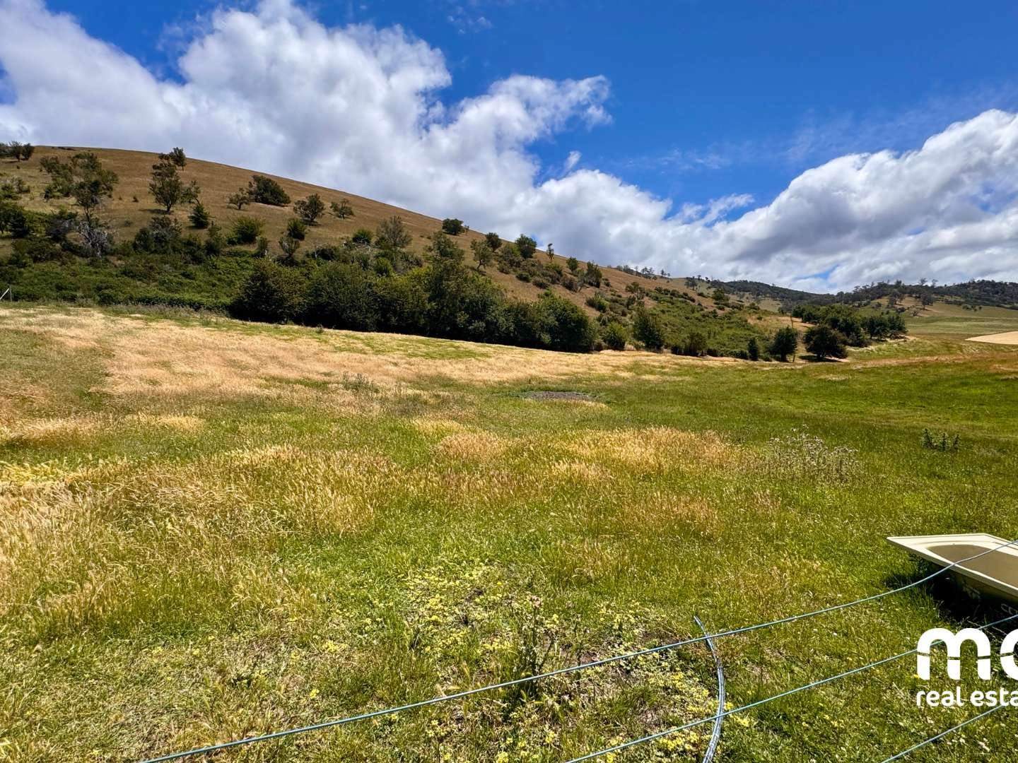 1811 Elderslie Road, Elderslie Sold by Farmbuy.com - image 24