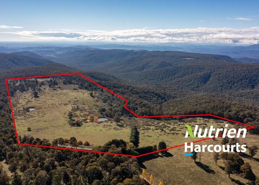 336 Burders Lane, Whitlands VIC 3678