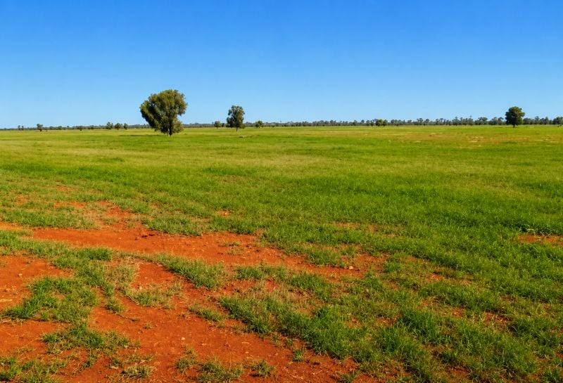 488 Days Road, Nyngan For Sale by Farmbuy.com - image 3