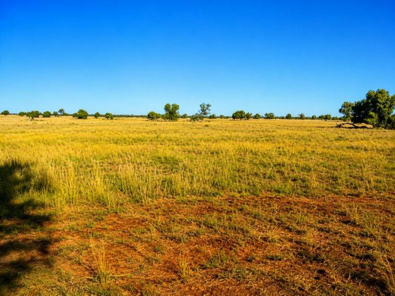 488 Days Road, Nyngan For Sale by Farmbuy.com - image 4