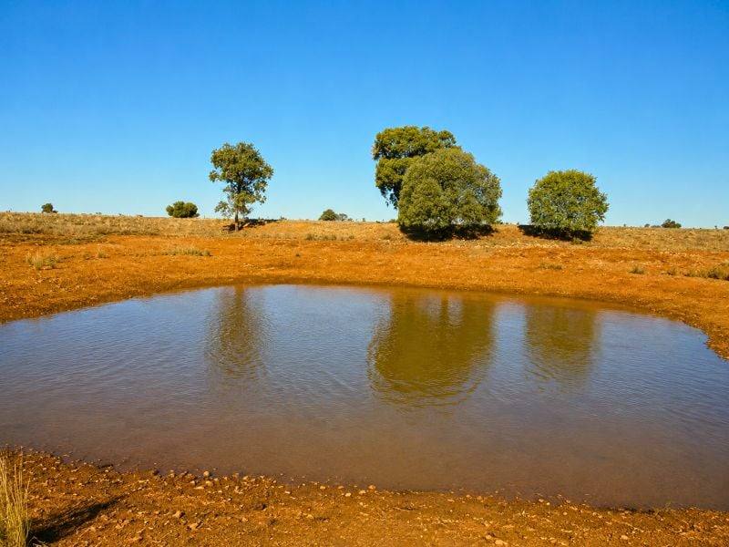 488 Days Road, Nyngan For Sale by Farmbuy.com - image 11