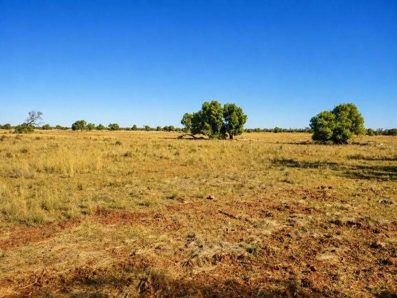 488 Days Road, Nyngan For Sale by Farmbuy.com - image 5
