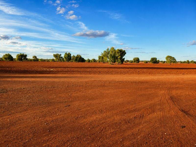 488 Days Road, Nyngan For Sale by Farmbuy.com - image 13