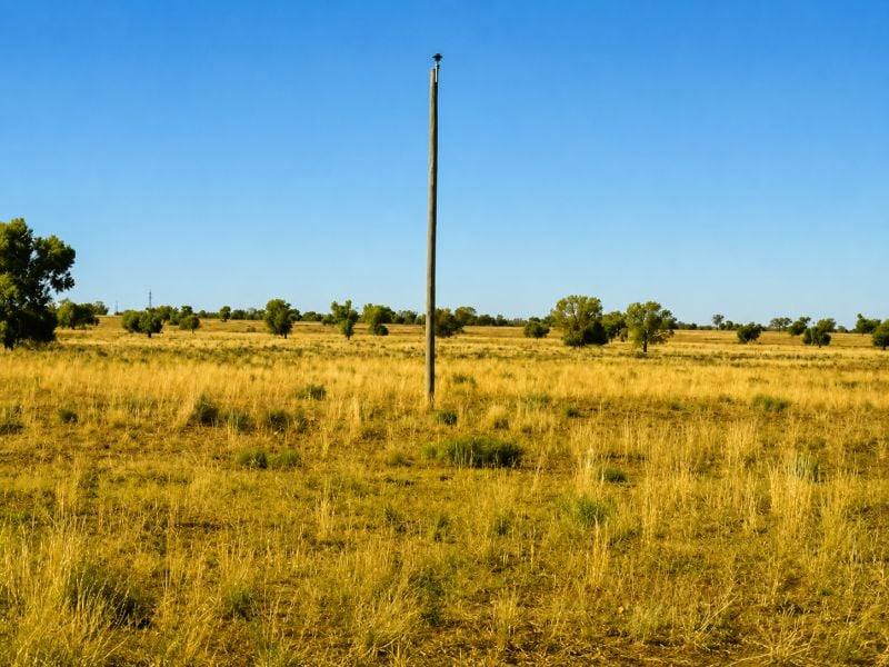 488 Days Road, Nyngan For Sale by Farmbuy.com - image 12