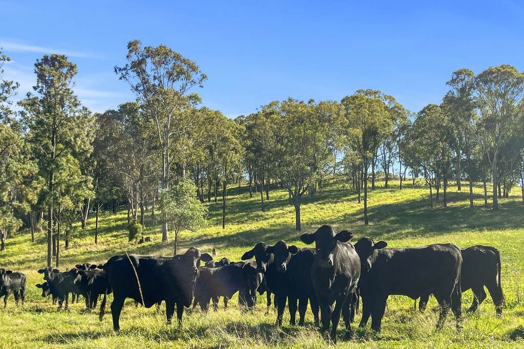 1322 Nukku Mt-Binga Road, Mount Binga QLD 4314