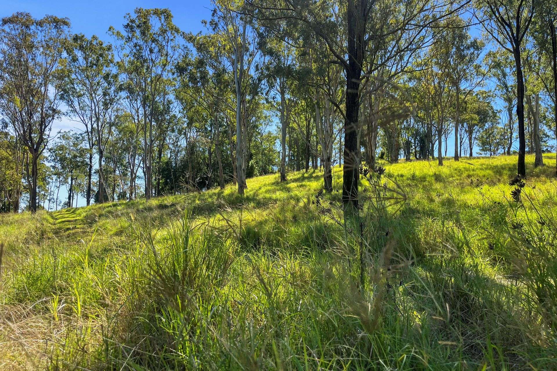 1322 Nukku Mt-Binga Road, Mount Binga Auction by Farmbuy.com - image 7