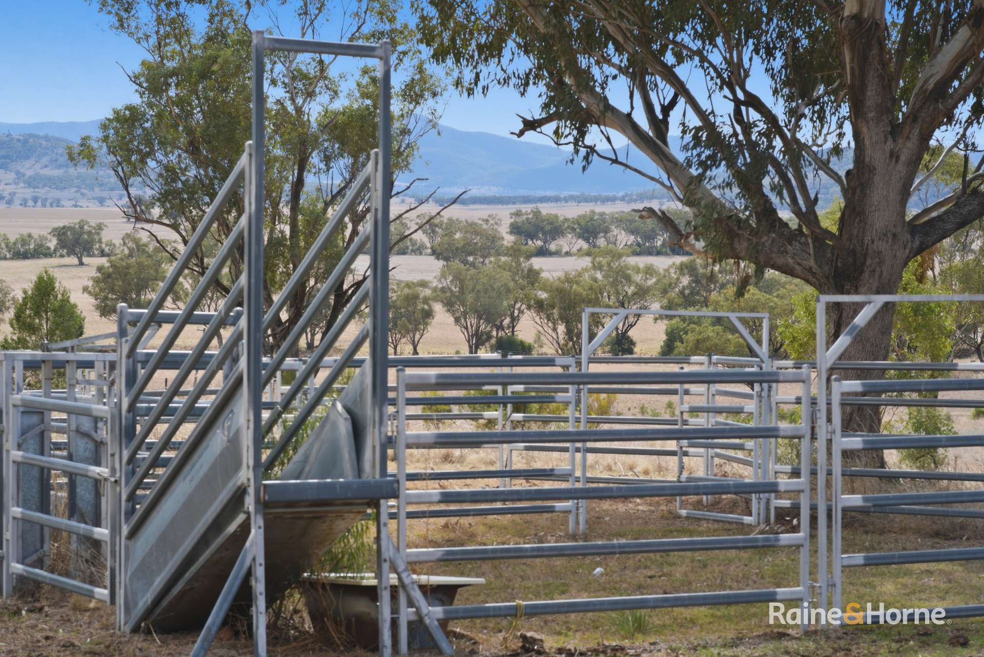 1007 Barnbrook Road, Werris Creek For Sale by Farmbuy.com - image 12