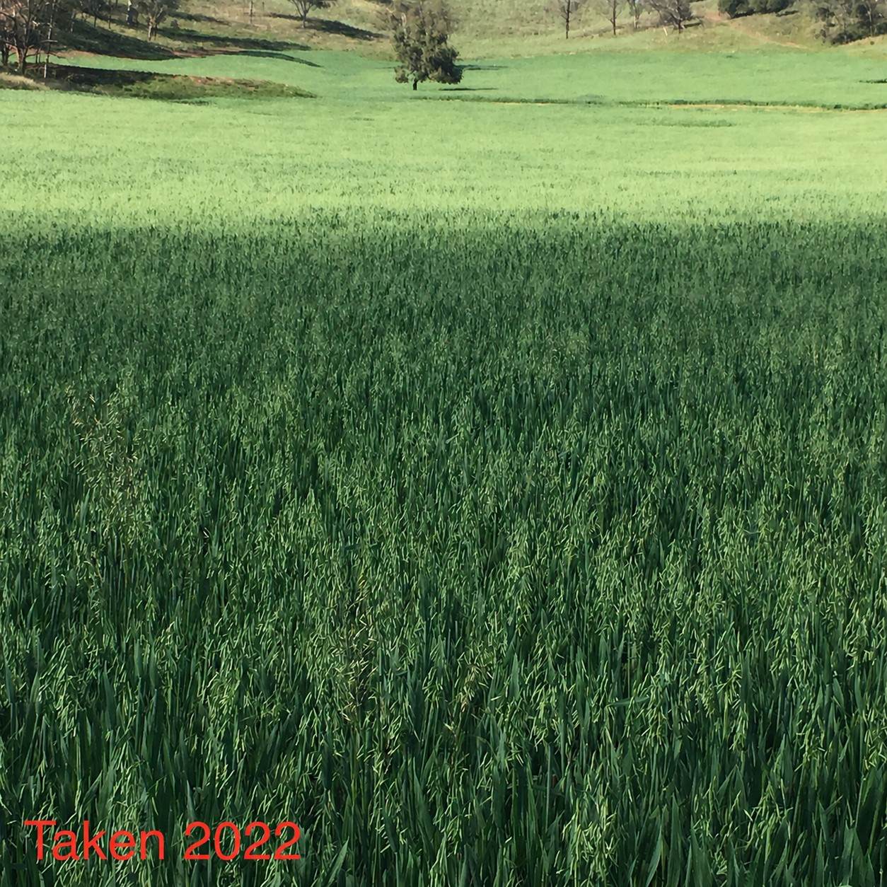 225 Echo Hills Road, Dungowan For Sale by Farmbuy.com - image 22
