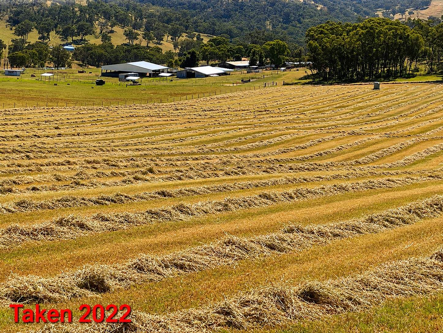225 Echo Hills Road, Dungowan For Sale by Farmbuy.com - image 20