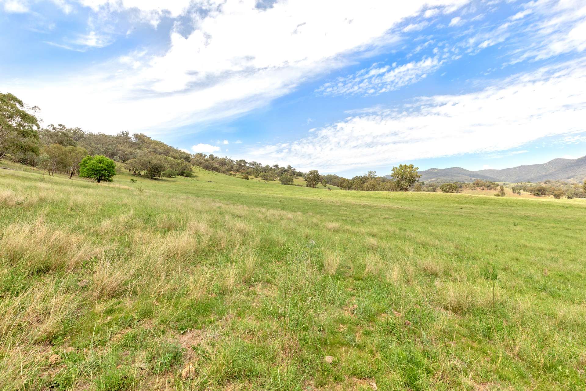 225 Echo Hills Road, Dungowan For Sale by Farmbuy.com - image 5