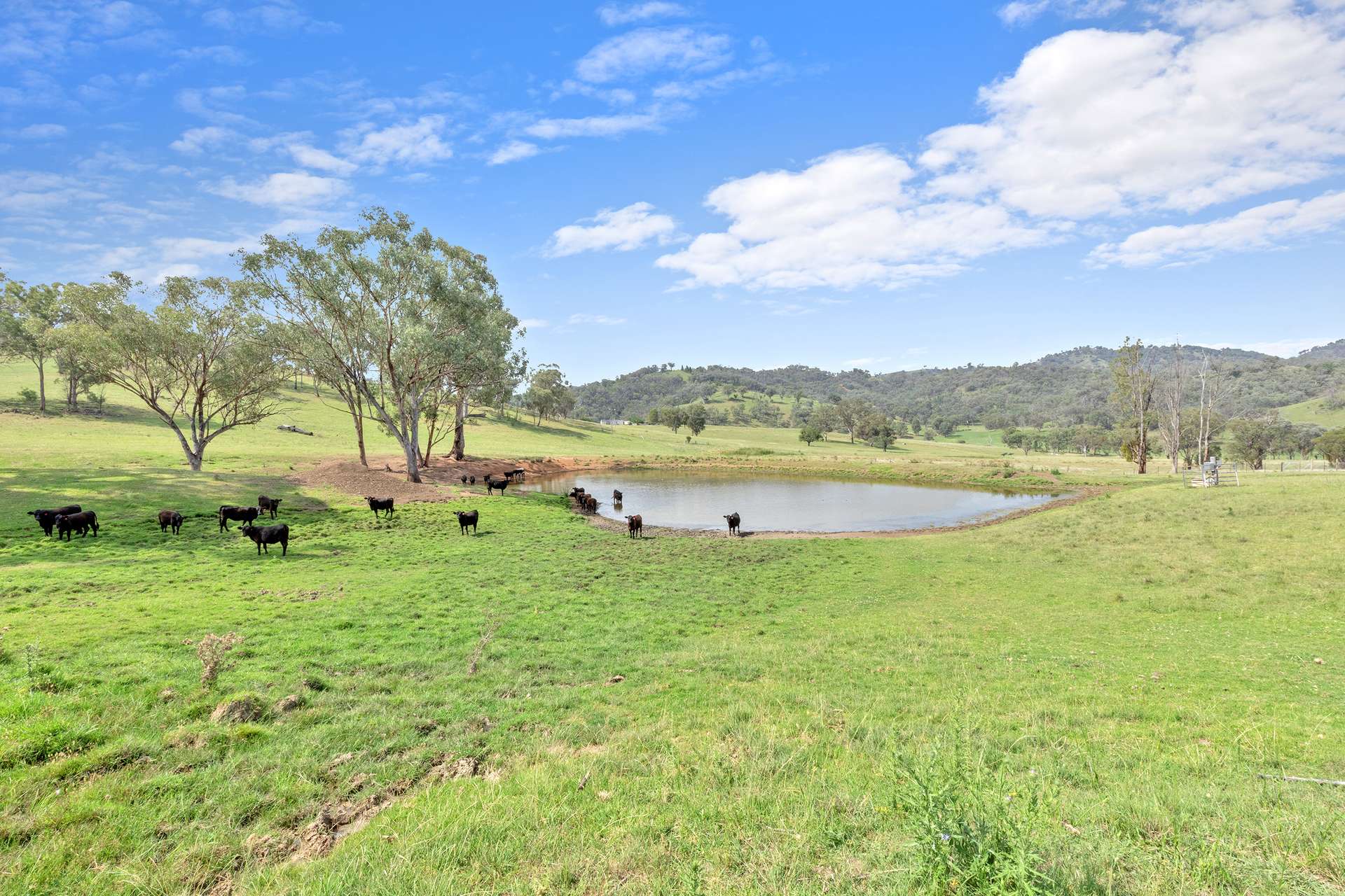225 Echo Hills Road, Dungowan For Sale by Farmbuy.com - image 2